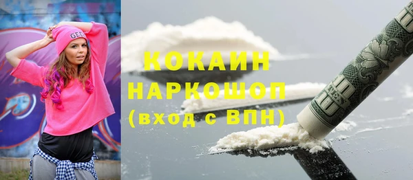 индика Балахна