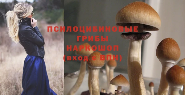 a pvp Баксан