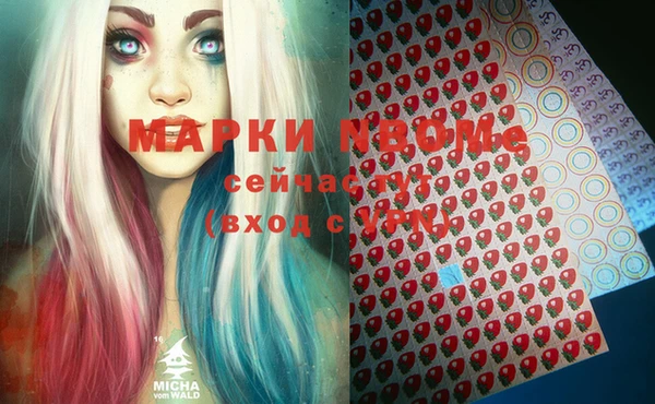 индика Балахна