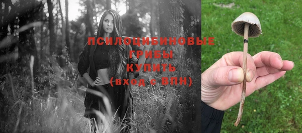 a pvp Баксан