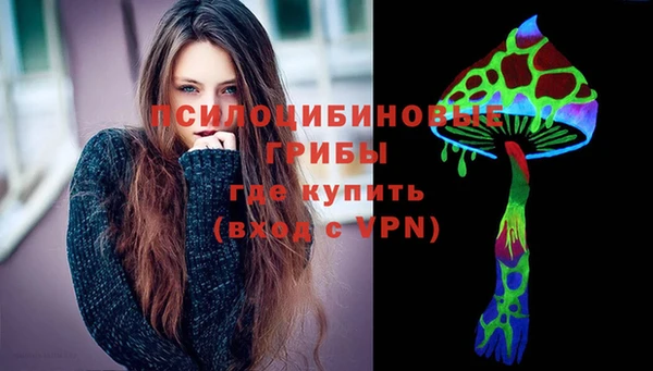 индика Балахна