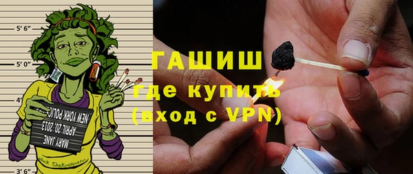 индика Балахна