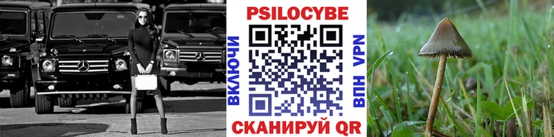 kraken маркетплейс  наркошоп  Баксан  Псилоцибиновые грибы мухоморы 